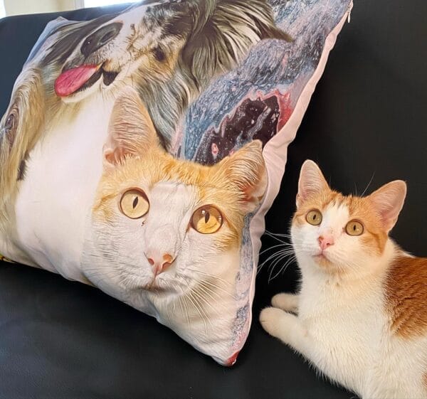 Almofadas Pet - Imagem 5