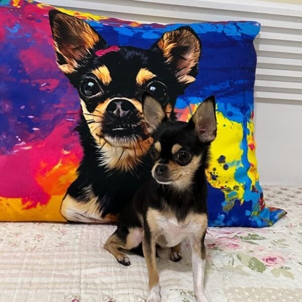 Almofadas Pet - Imagem 2