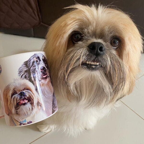 caneca pet